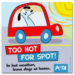 ‘Too Hot for Spot’ Window Decal for FREE!