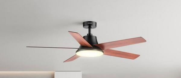 Apply to TRY the DREO Ceiling Fan!