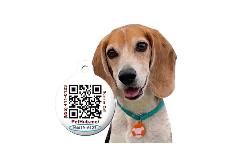 TrySpree Dog ID Tag for Free
