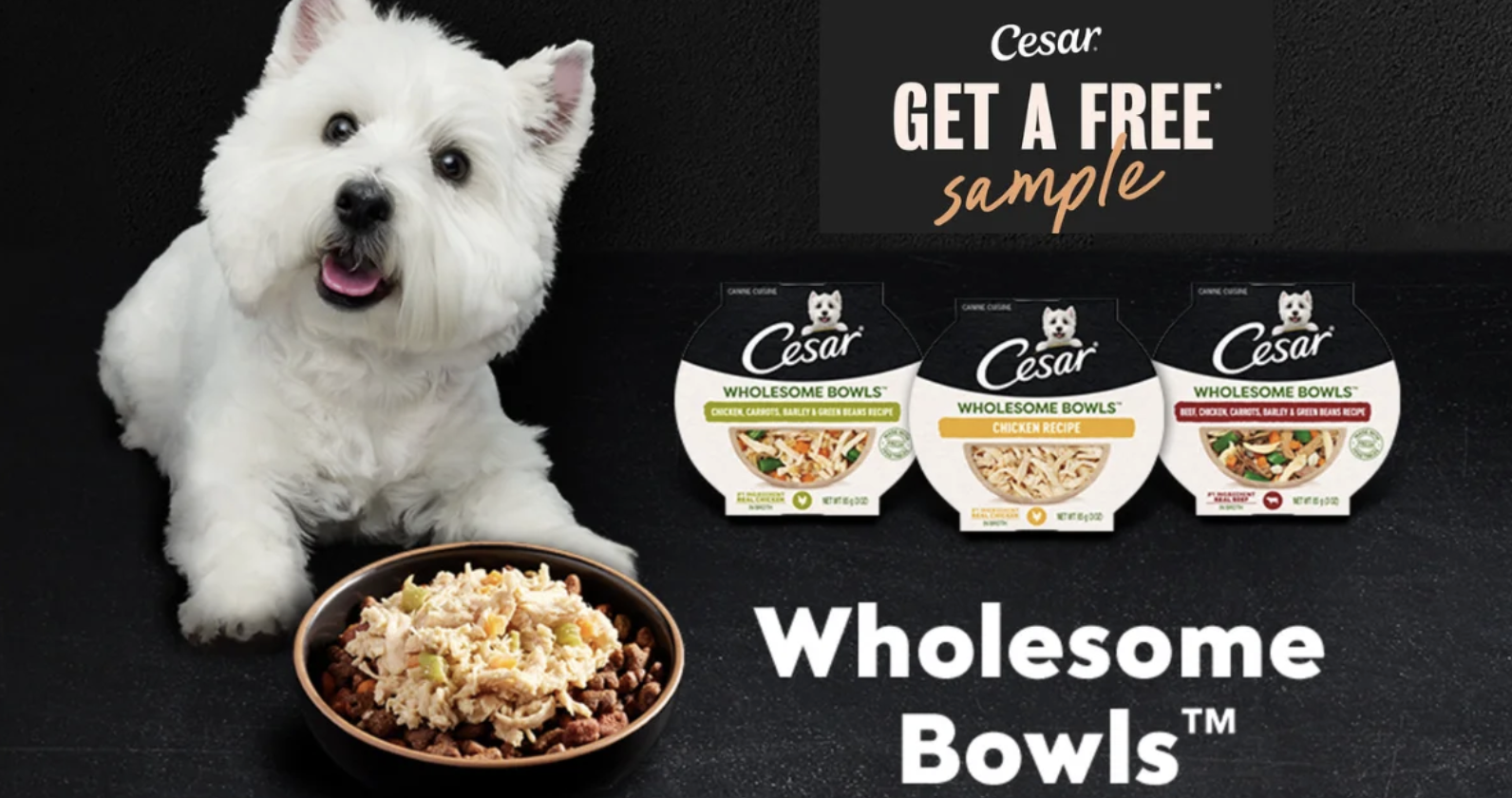 TrySpree - Gourmet Dog Dining – Free CESAR Wholesome Bowls
