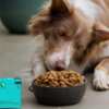 PetCultures Tribotic Dog Supplement Sample Pack for Free
