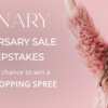 Monary Anniversary Sale Sweepstakes
