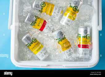 Get your FREE Topo Chico Cooler