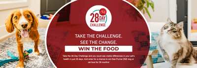 A Purr-fect 28 Days: Enter Nestle Purina's 28 Day Challenge Sweepstakes