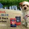 Get Ready to Bark for Joy! Free Blue Buffalo Treat Kit Giveaway!