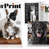 PawPrint Magazine for Free