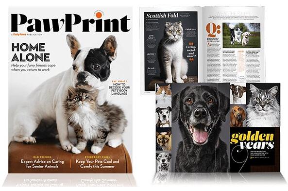 PawPrint Magazine for Free