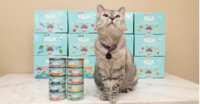 Your Cat Deserves This FREE Love, Nala Sample