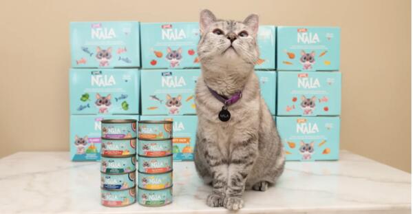Your Cat Deserves This FREE Love, Nala Sample