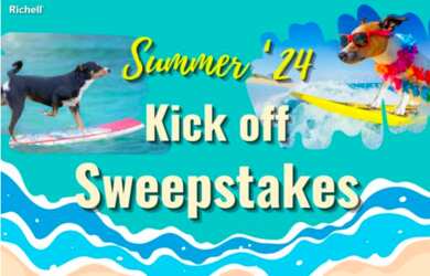 Take Your Pet on Adventures: Enter to Win a Richell Pet Travel Carrier!