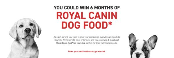 Royal Canin Is Giving Away Pet Goodies This Spring!