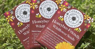 Sow the Love – 5 Free Wildflower Seed Packs!