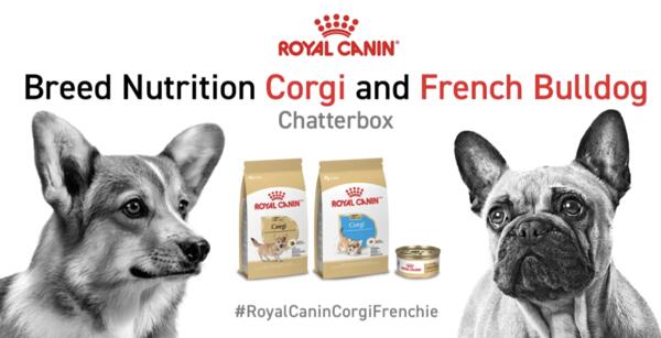Royal Canin Freebie – Corgi & French Bulldog Breed Kit