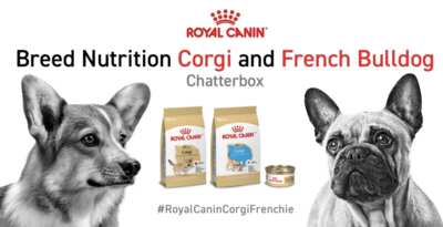 Royal Canin Freebie – Corgi & French Bulldog Breed Kit
