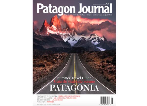 Patagonia Journal for Free