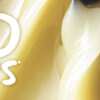Culinary Creativity Delivered: Food Fanatics Magazine Free!