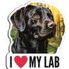 Hello Lab Lovers Sticker for FREE!