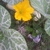 helengibbs915