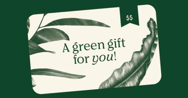 Grow Your Wallet with Bloomscape and Atlas Gift Card Giveaway!