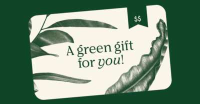 Grow Your Wallet with Bloomscape and Atlas Gift Card Giveaway!