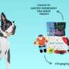 Get a FREE Sniff ’n Snack Box for Your Pup – Toys, Treats & Free Shipping!
