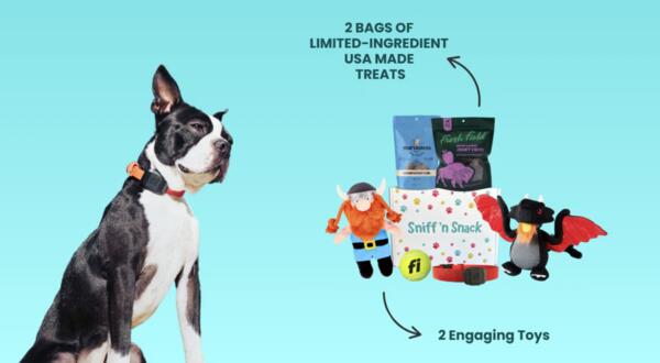 Get a FREE Sniff ’n Snack Box for Your Pup – Toys, Treats & Free Shipping!
