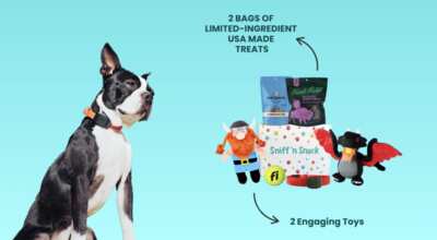 Get a FREE Sniff ’n Snack Box for Your Pup – Toys, Treats & Free Shipping!
