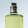 FREE of Sample Mystic Moss Eau de Toilette