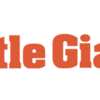 FREE Little Giant Ladders Sticker – Perfect for Tools & More