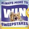 Friskies Sweepstakes: Always More Chances to Win!