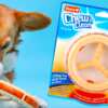 Happy Dog, Healthy Teeth: Free Hartz Chew 'n Clean Toy!