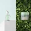 Experience Calm Skin – Free TECATECA Toner or Serum!