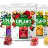 Free Upland Superfood Snacks 