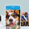 Blink Mini Camera for FREE from Barkbox