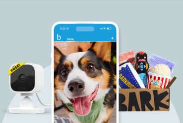 Blink Mini Camera for FREE from Barkbox