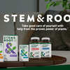 Free Sample of Stem & Root Fitness Support Supplement!