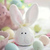 pepsichick4170