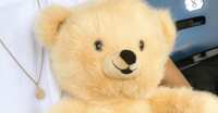 Feeling Cozy? Win a Snuggle Comfort Companion This July!
