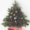 Spreading Holiday Joy: Free Decorated Christmas Trees for Families in Need