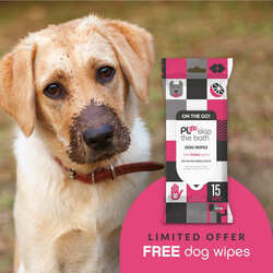 FREE PL360 Dog Wipes