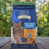 Score a FREE Bone Broth Boosted Chatterbox Kit from Blue Buffalo