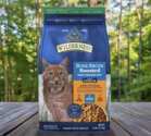 Score a FREE Bone Broth Boosted Chatterbox Kit from Blue Buffalo