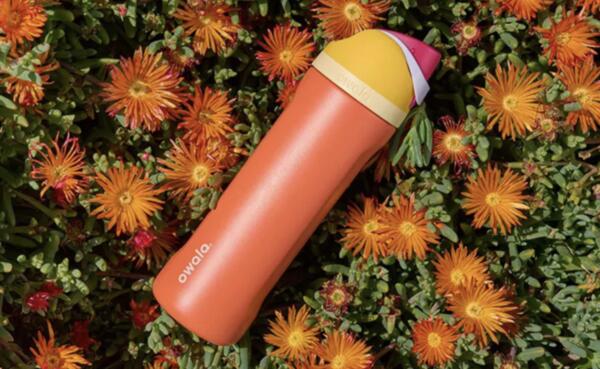 Owala Water Bottle Freebie — Sign Up with TCB!