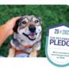 Be a Voice for Pets – Claim Your Free Pledge Badge!