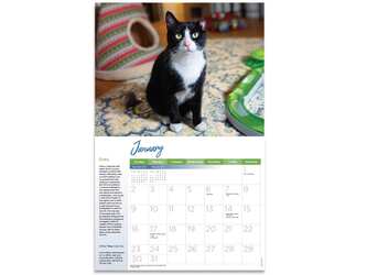 Free 2022 "Rescued!" Calendar