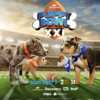 A Tail-Wagging $10K Awaits! Join the Valpak Puppy Bowl Fun!