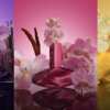 Experience Calvin Klein Euphoria Elixir FREE