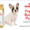 Royal Canin French Bulldog Puppy Dry Dog Food for FREE!