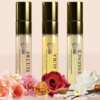 Try It for FREE: Ambroise Hair Fragrance Sample Available Now!