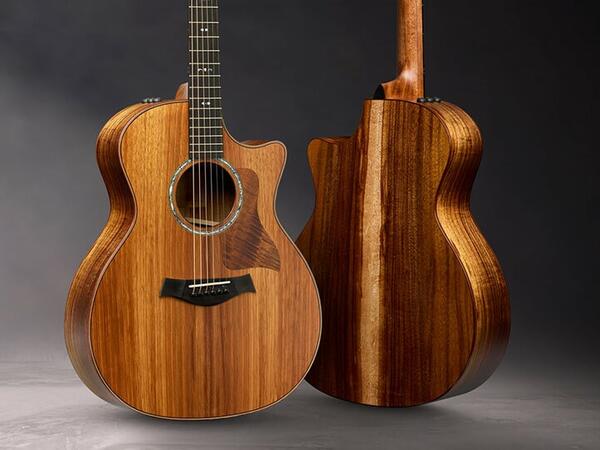 Win A Taylor Guitars 724ce